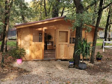 Salon de toilettage pour animaux