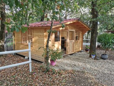Salon de toilettage pour animaux