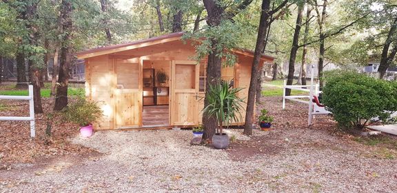 Salon de toilettage pour animaux
