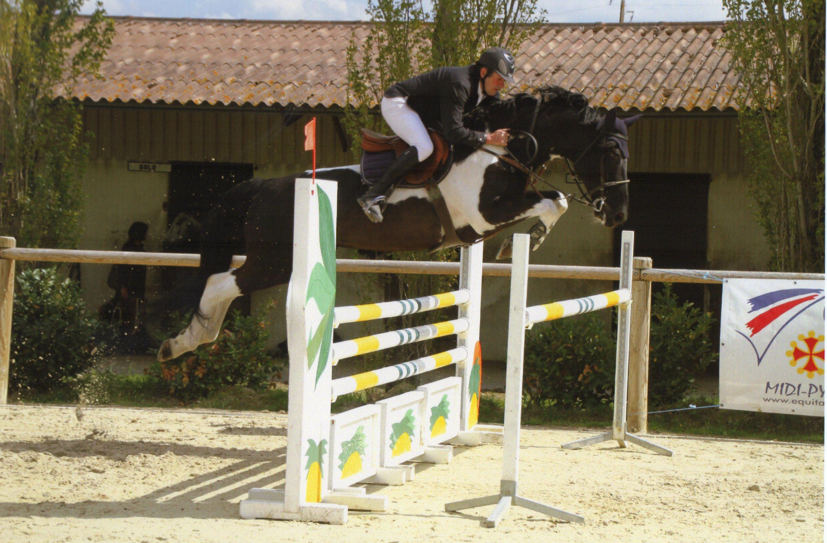 Entraînement de chevaux de sport CSO