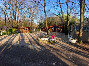 Pension Chien