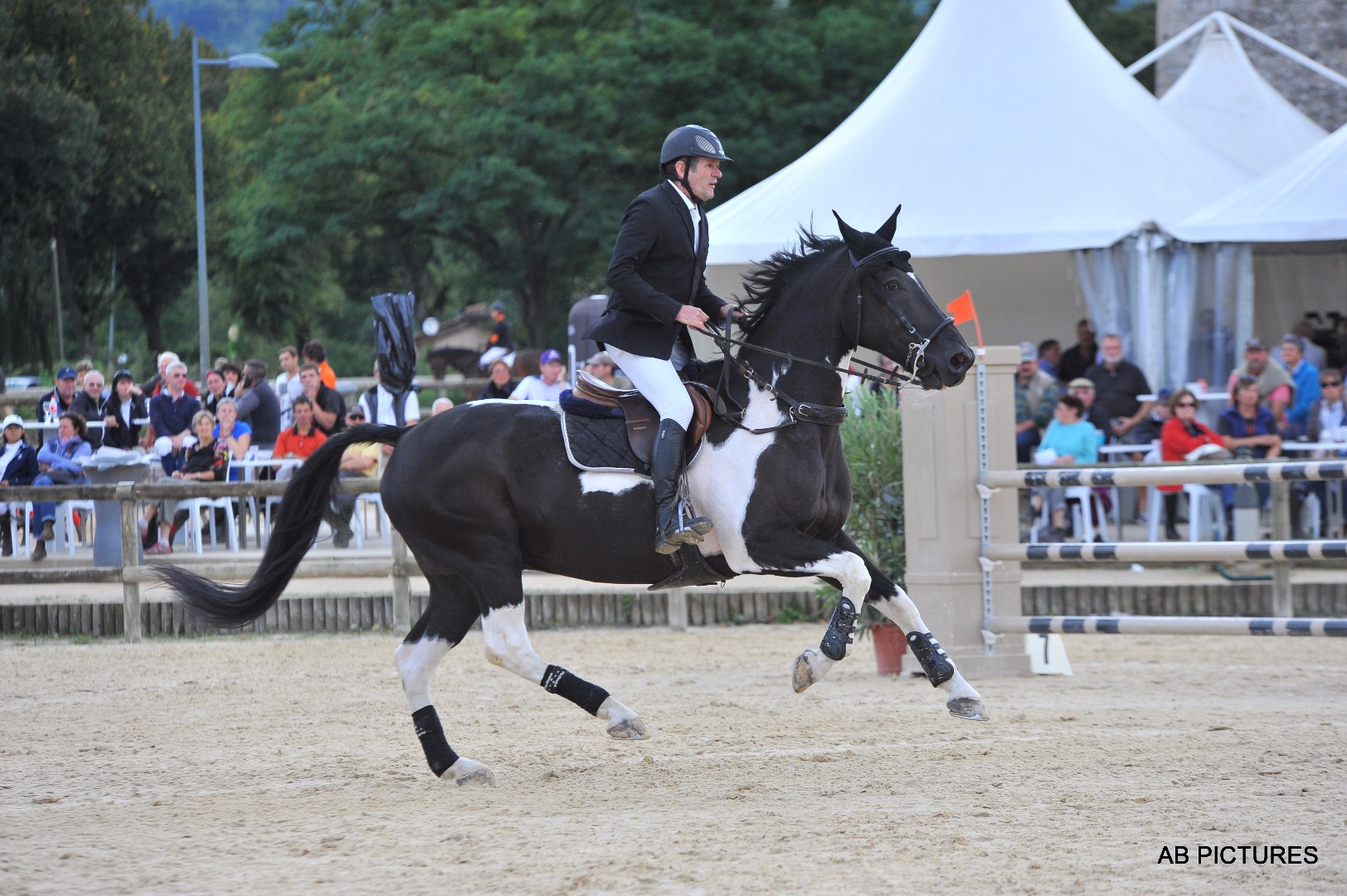 Entraînement de chevaux de sport CSO