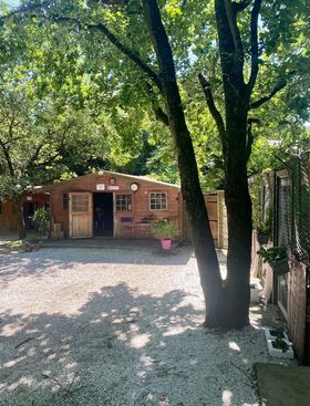 Pension  Chien