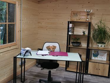 Salon de toilettage pour animaux