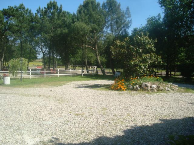 Pension chien